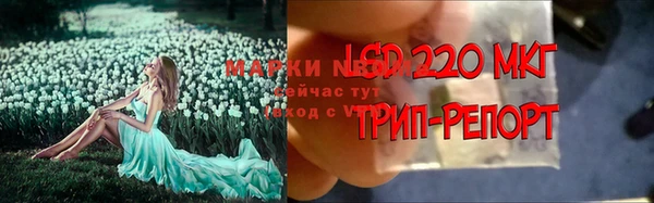 ALPHA PVP Бугульма