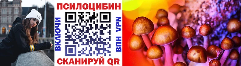 где найти наркотики  Георгиевск  блэк спрут как зайти  Псилоцибиновые грибы Magic Shrooms 